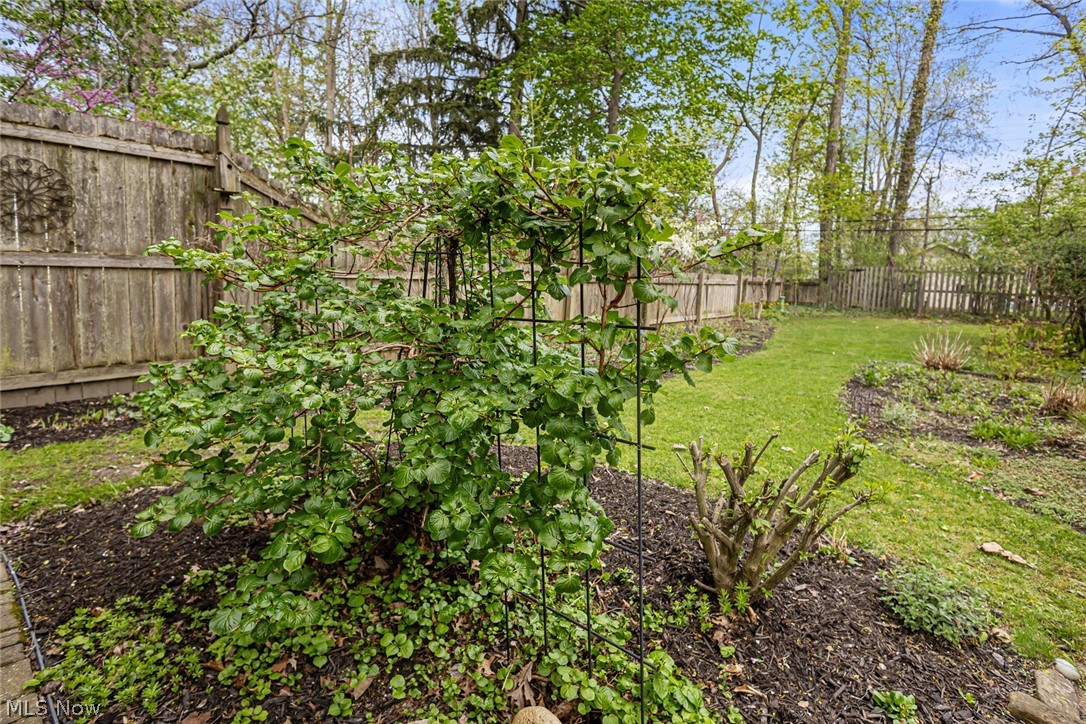 3361 Bradford Road Cleveland Heights OH 44118