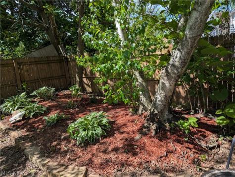 876 Avon Street Akron OH 44310