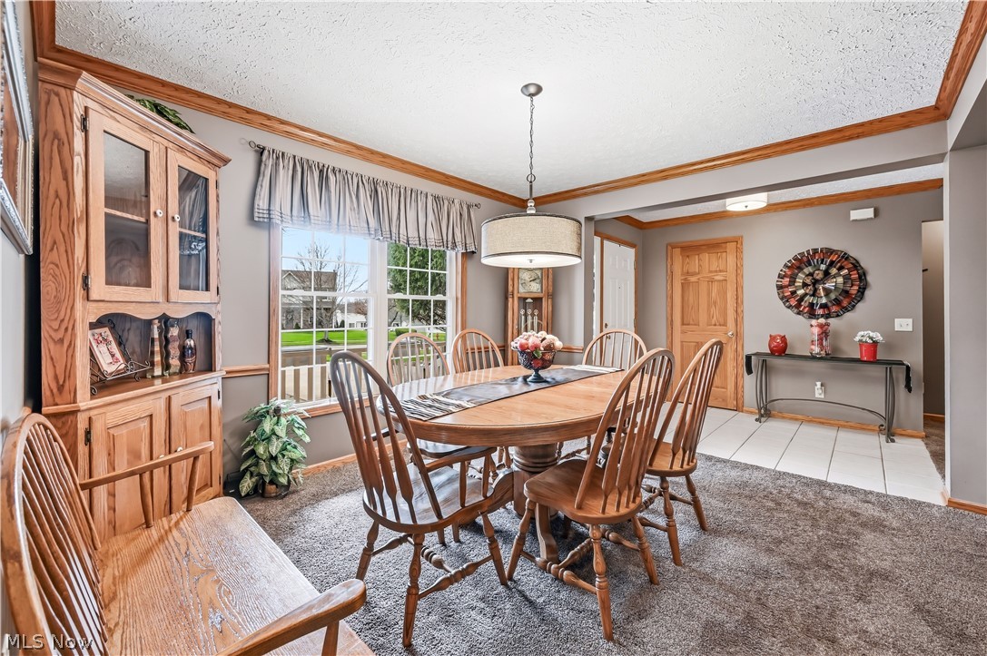 1009 E Reno Drive Louisville OH 44641