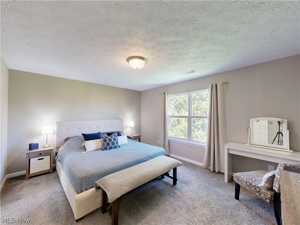 1223 Selena Grove Green OH 44685