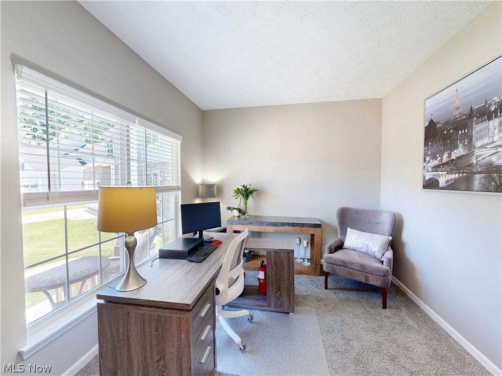 1223 Selena Grove Green OH 44685