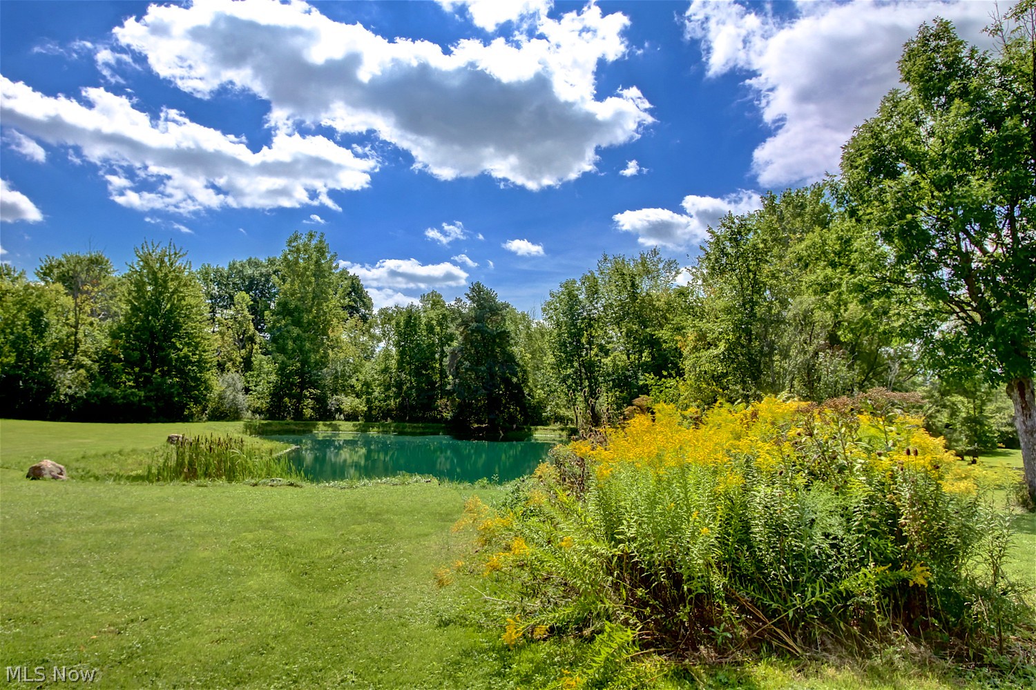 4206 Sleepy Hollow Road Brunswick OH 44212