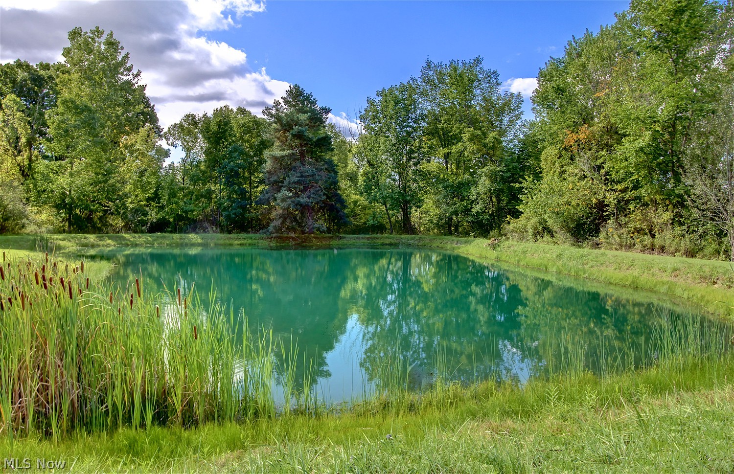 4206 Sleepy Hollow Road Brunswick OH 44212