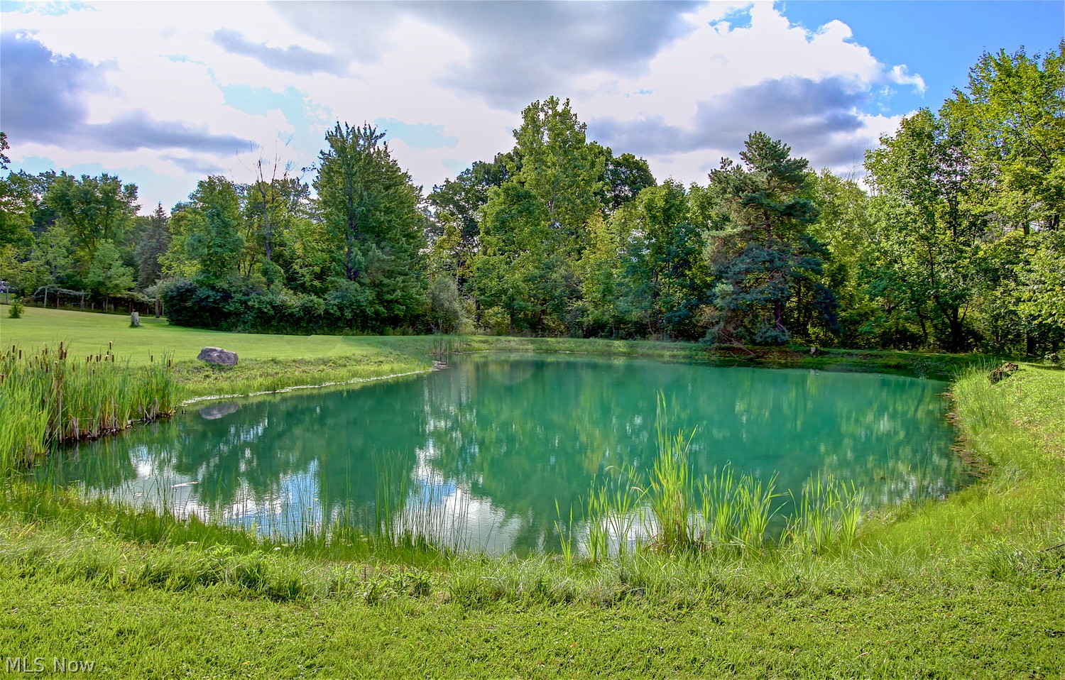 4206 Sleepy Hollow Road Brunswick OH 44212