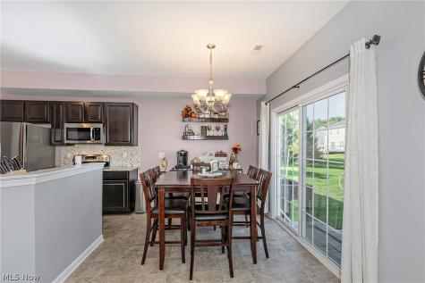 10412 Redbud Drive Aurora OH 44202