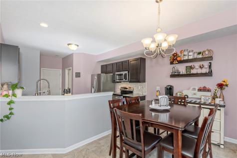 10412 Redbud Drive Aurora OH 44202