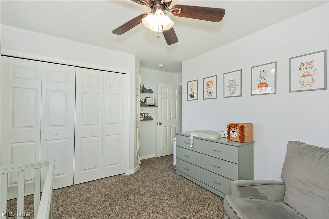 10412 Redbud Drive Aurora OH 44202