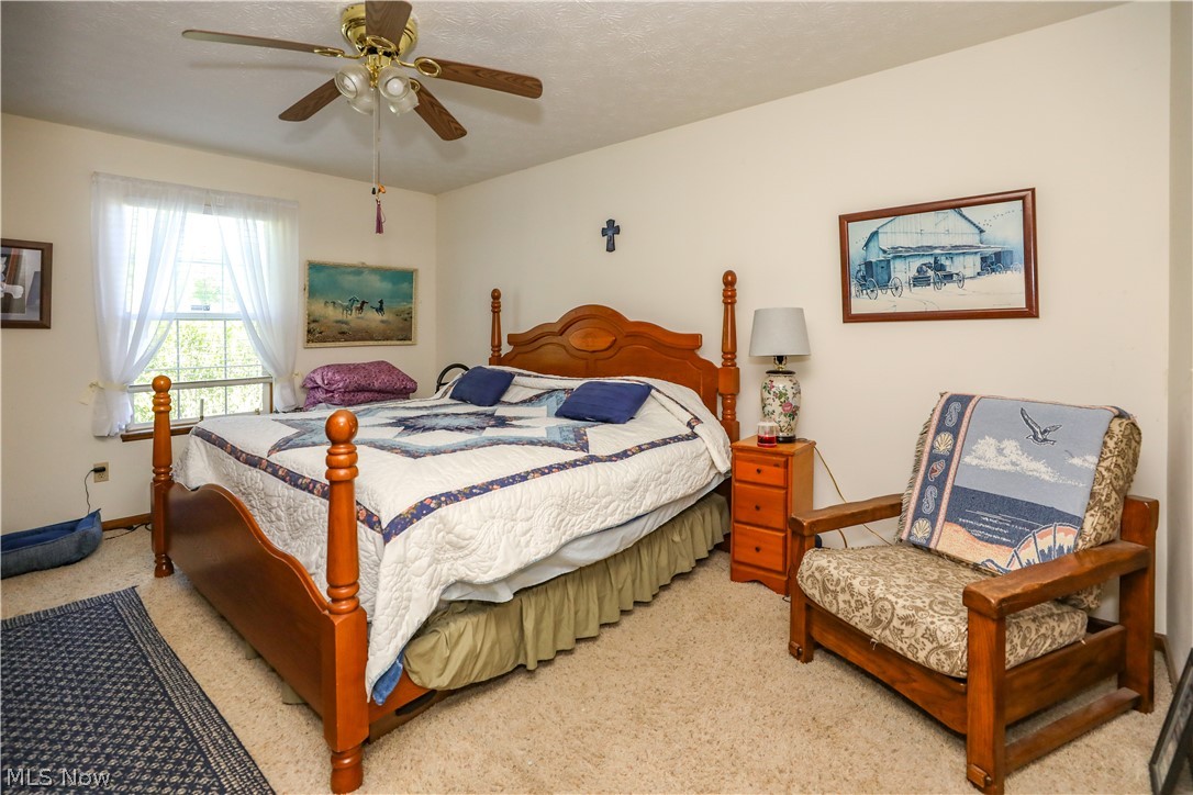 9350 State Route 88 Windham OH 44288