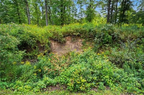 839 Sheffield Road Sheffield Lake OH 44054