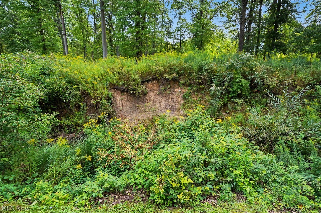839 Sheffield Road Sheffield Lake OH 44054