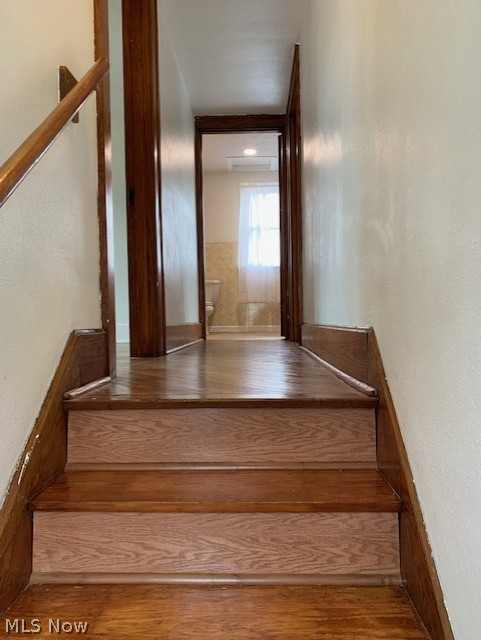 803 Trenton Toronto OH 43964