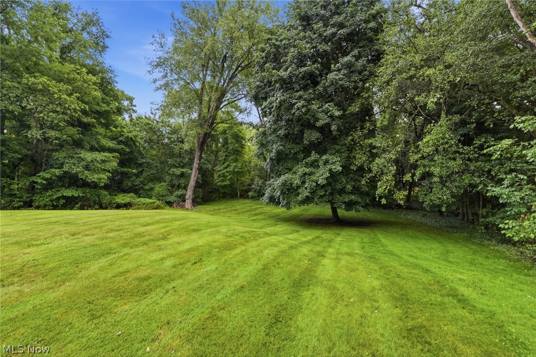 523 Rotunda Avenue Akron OH 44333