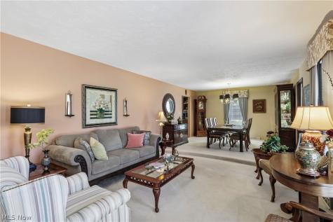 3270 Concord Drive Brunswick OH 44212