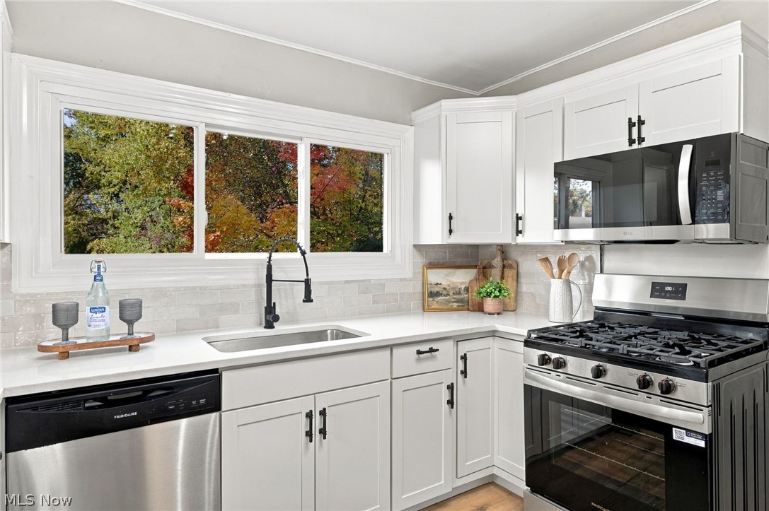 120 Levan Drive Painesville OH 44077