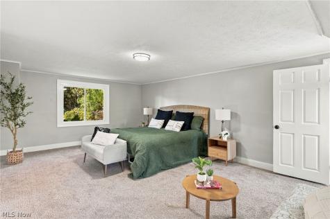 120 Levan Drive Painesville OH 44077