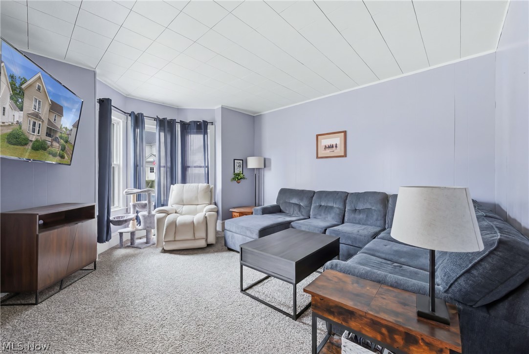 119 E Wilson Avenue Girard OH 44420