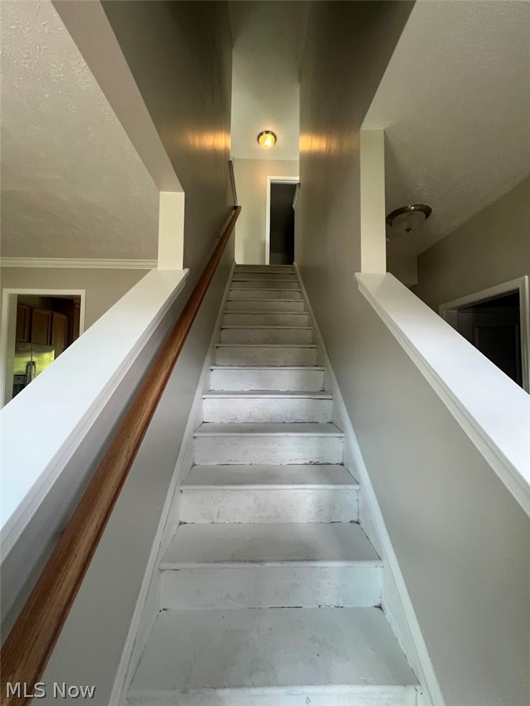 6161 Whitetail Run Oakwood OH 44146