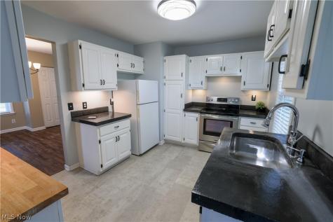 217 E Bergey Street Wadsworth OH 44281