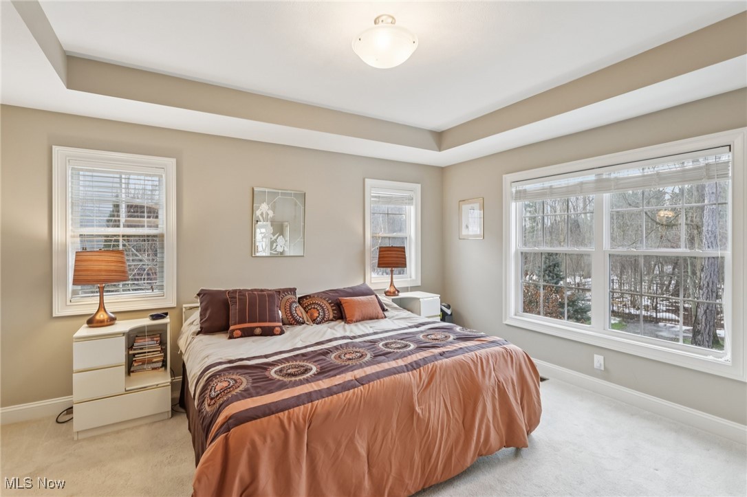 102 Hidden Glen Trail Chardon OH 44024