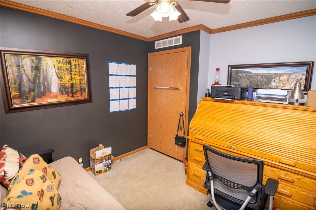 41152 Black Oak Road Flushing OH 43977