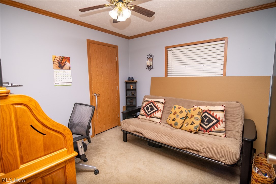 41152 Black Oak Road Flushing OH 43977