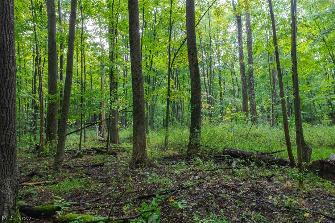 7013 Morford East Road Kinsman OH 44428