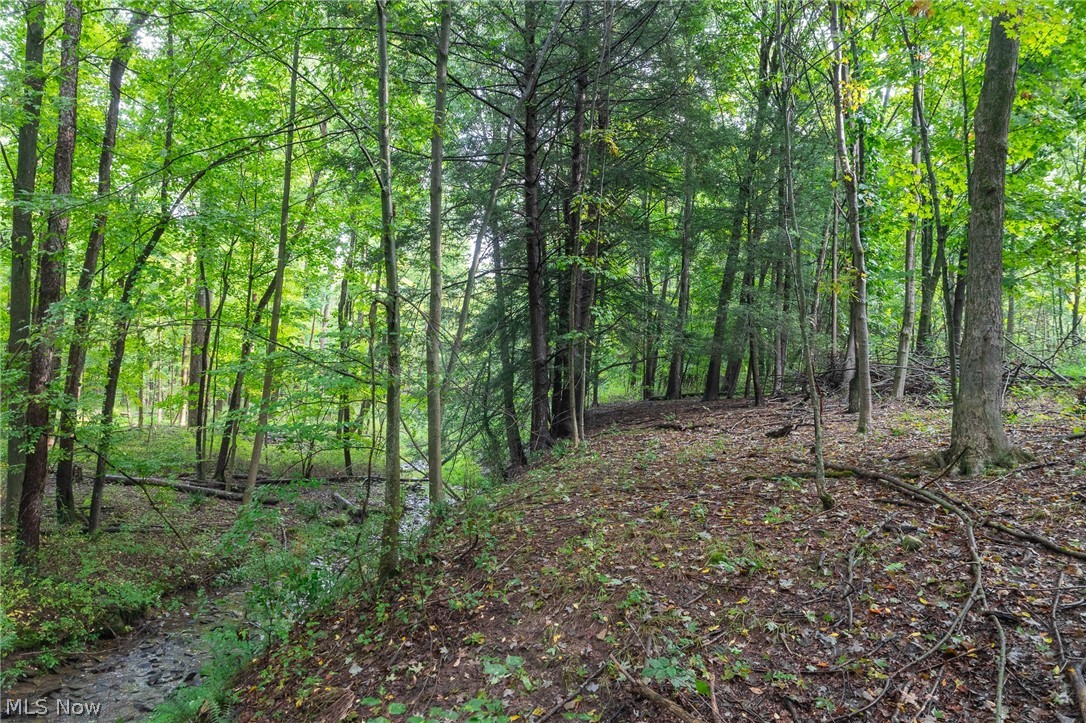 7013 Morford East Road Kinsman OH 44428