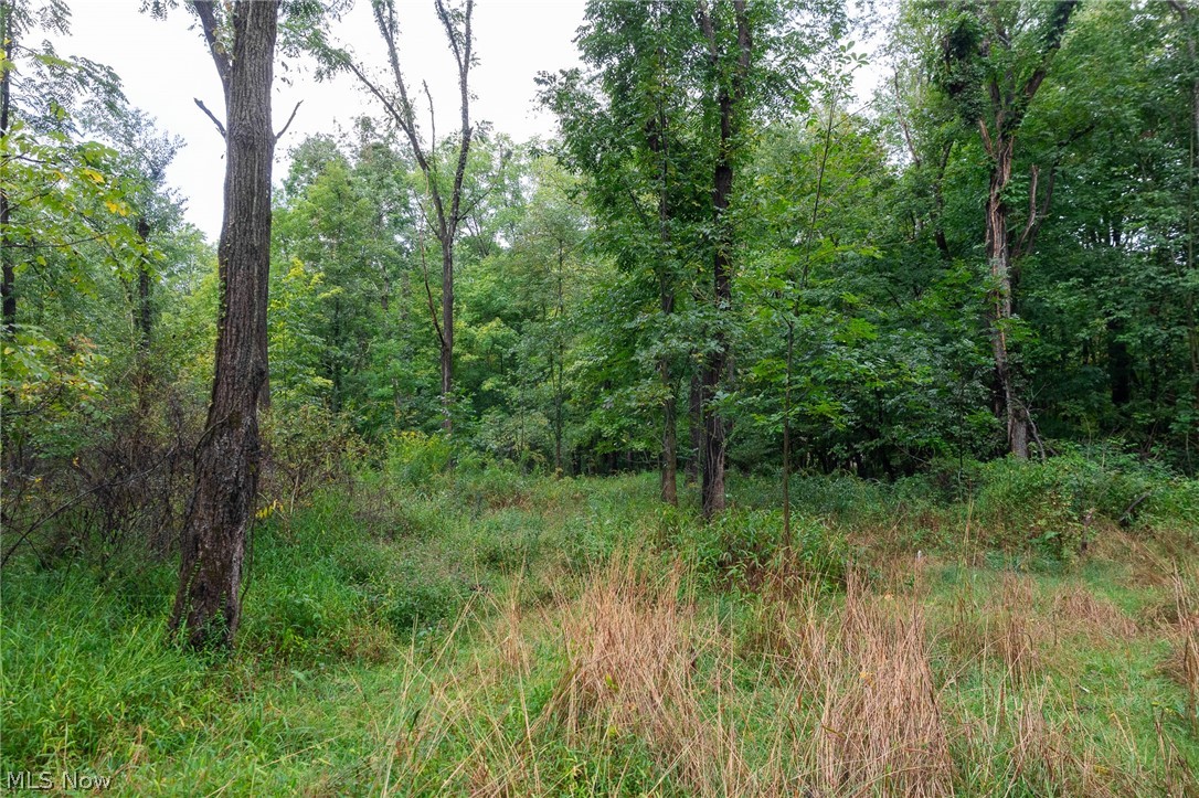 7013 Morford East Road Kinsman OH 44428