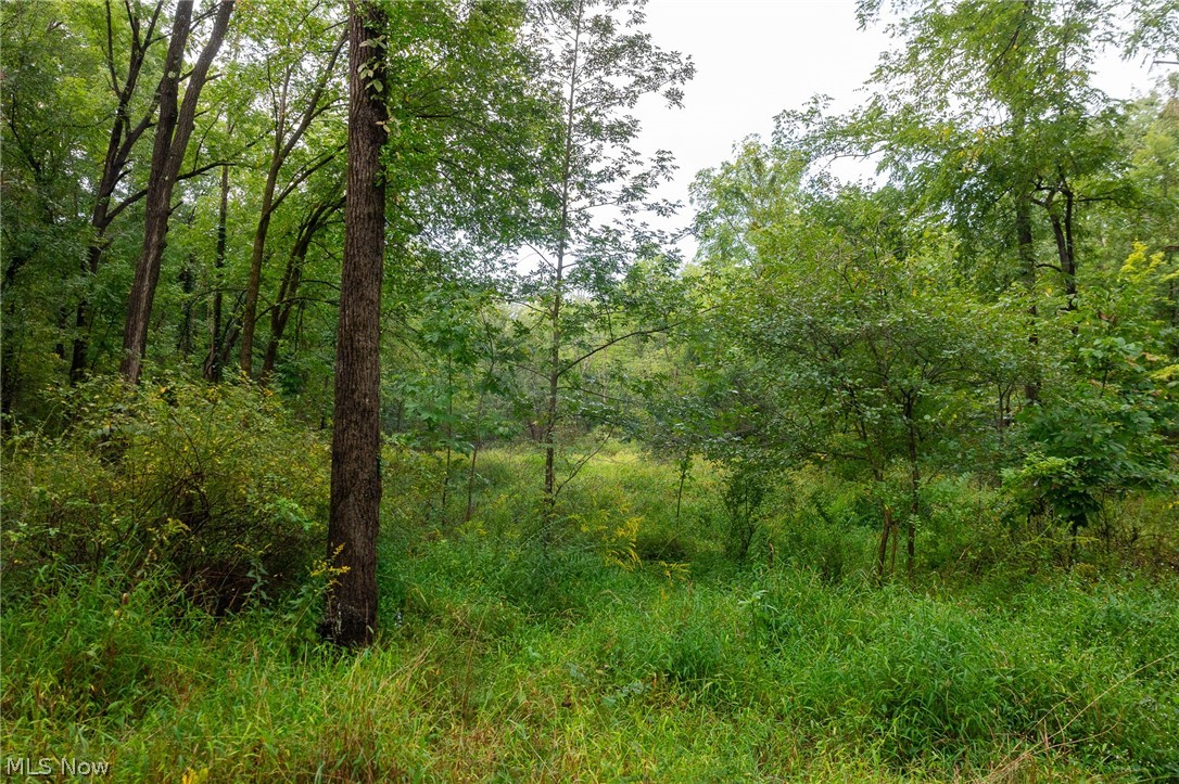 7013 Morford East Road Kinsman OH 44428