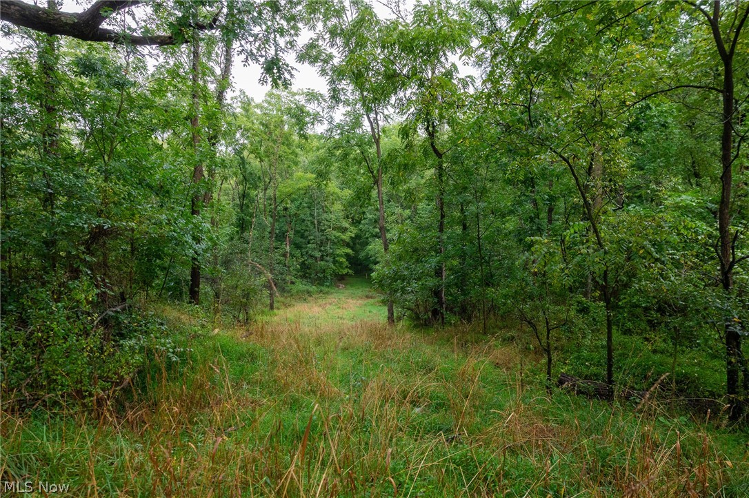 7013 Morford East Road Kinsman OH 44428