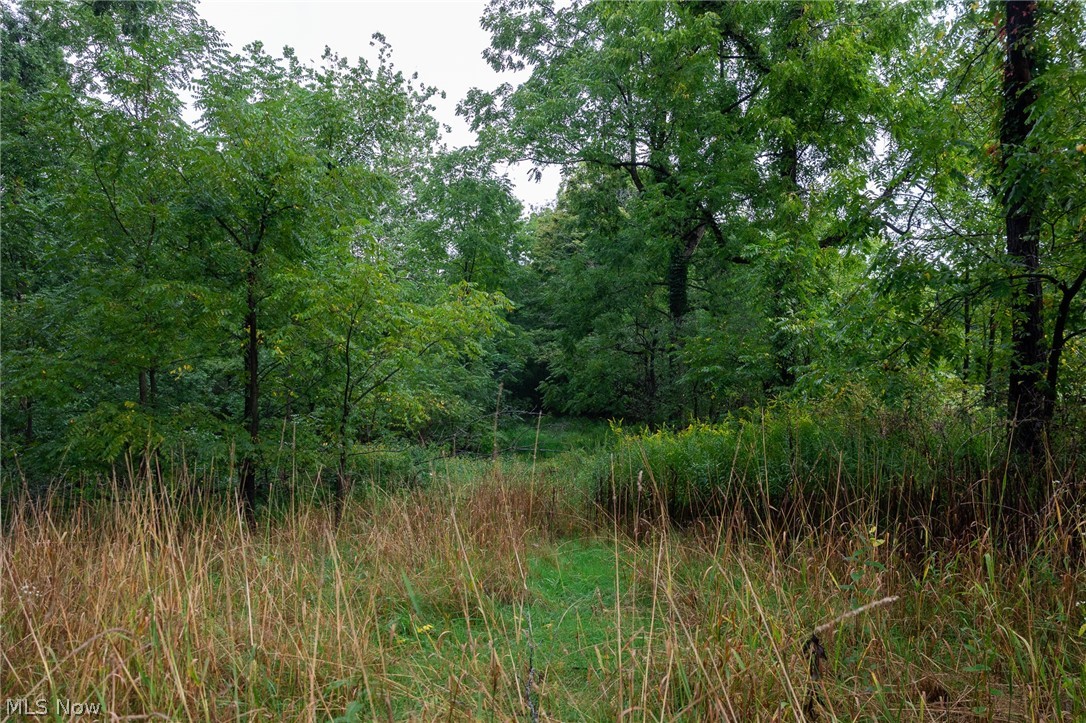 7013 Morford East Road Kinsman OH 44428