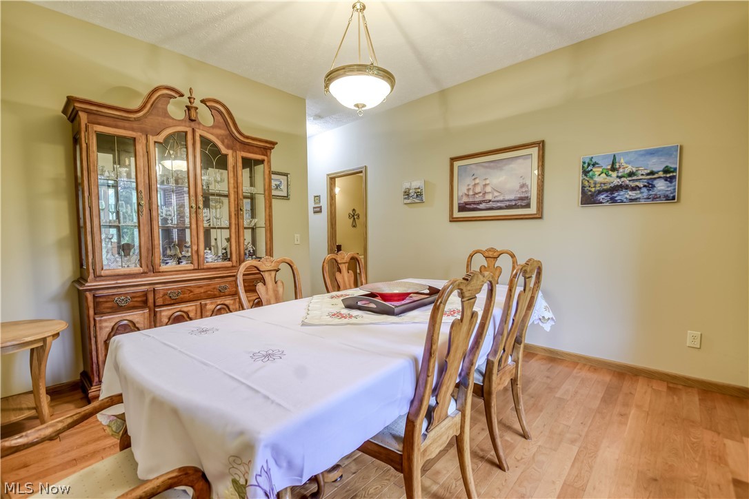 10370 Wilbert Drive Kirtland OH 44094