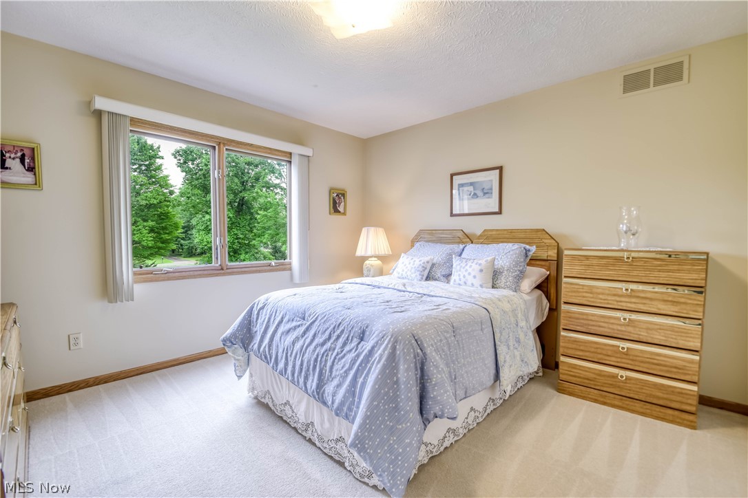 10370 Wilbert Drive Kirtland OH 44094