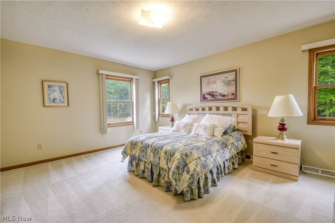 10370 Wilbert Drive Kirtland OH 44094