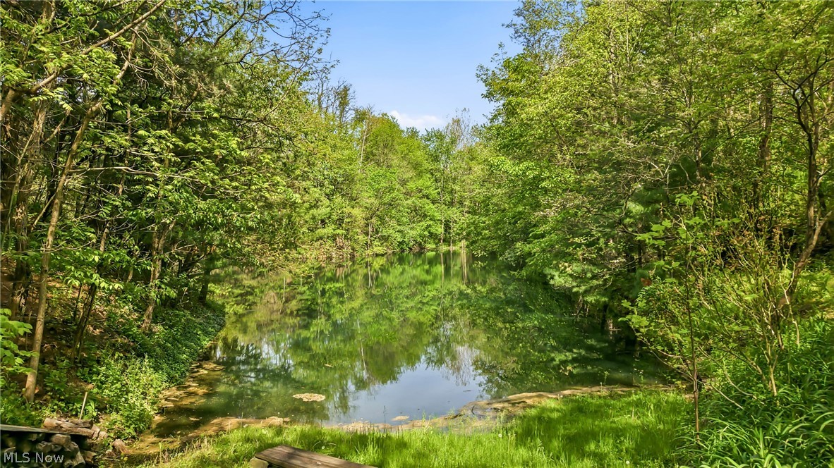 13689 Beard Road New Springfield OH 44443