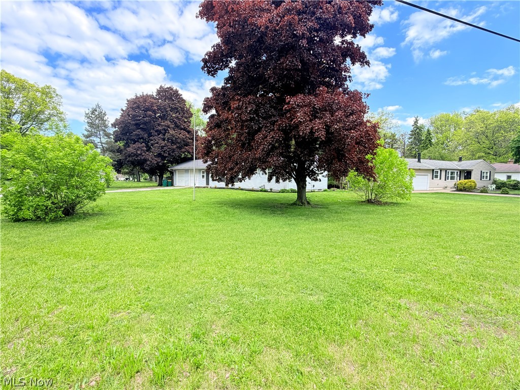 8803 Spring Valley Drive Mentor OH 44060
