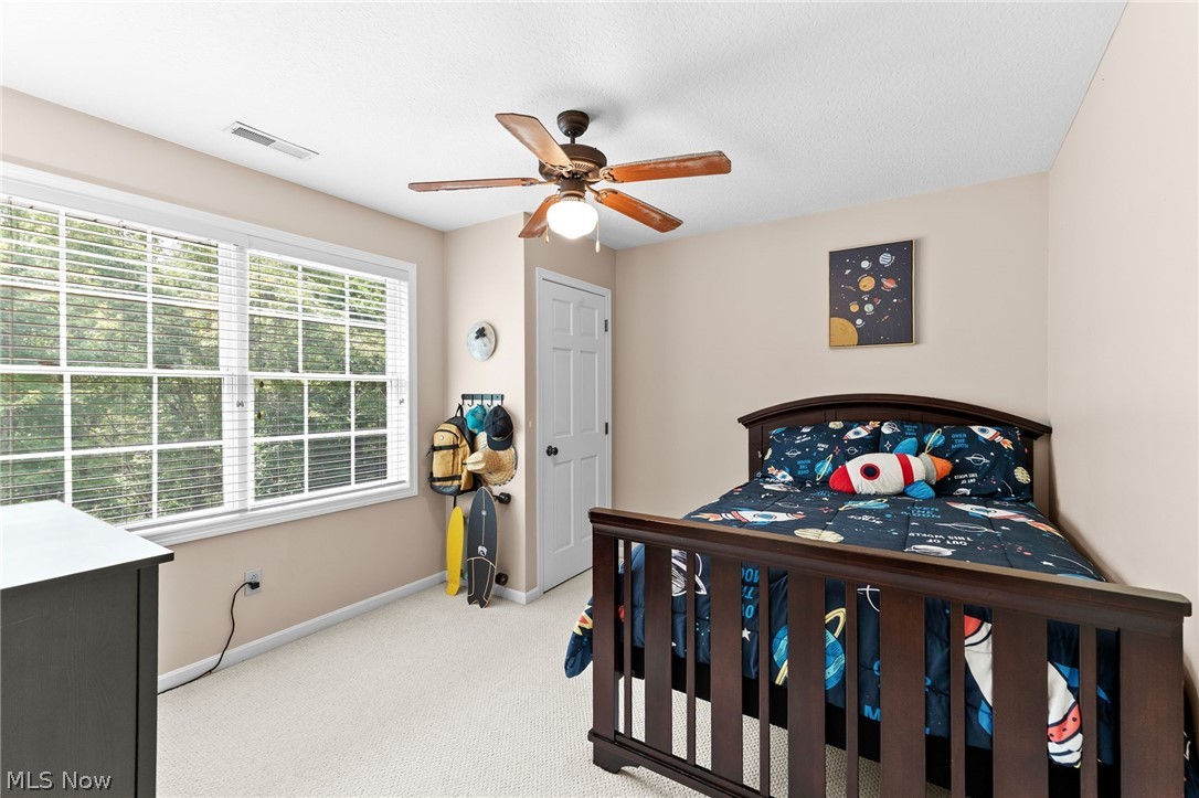 1 Cayuse Trail Malvern OH 44644