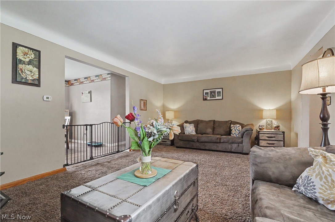 577 Geneva Avenue Struthers OH 44471