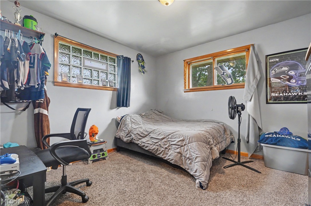 577 Geneva Avenue Struthers OH 44471
