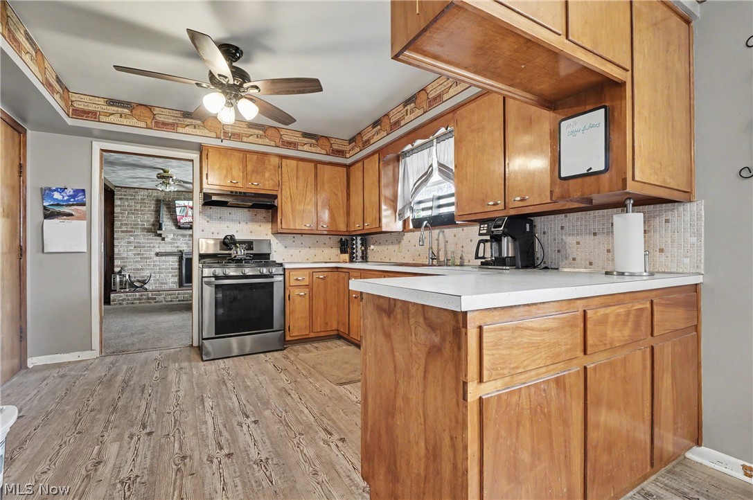 577 Geneva Avenue Struthers OH 44471