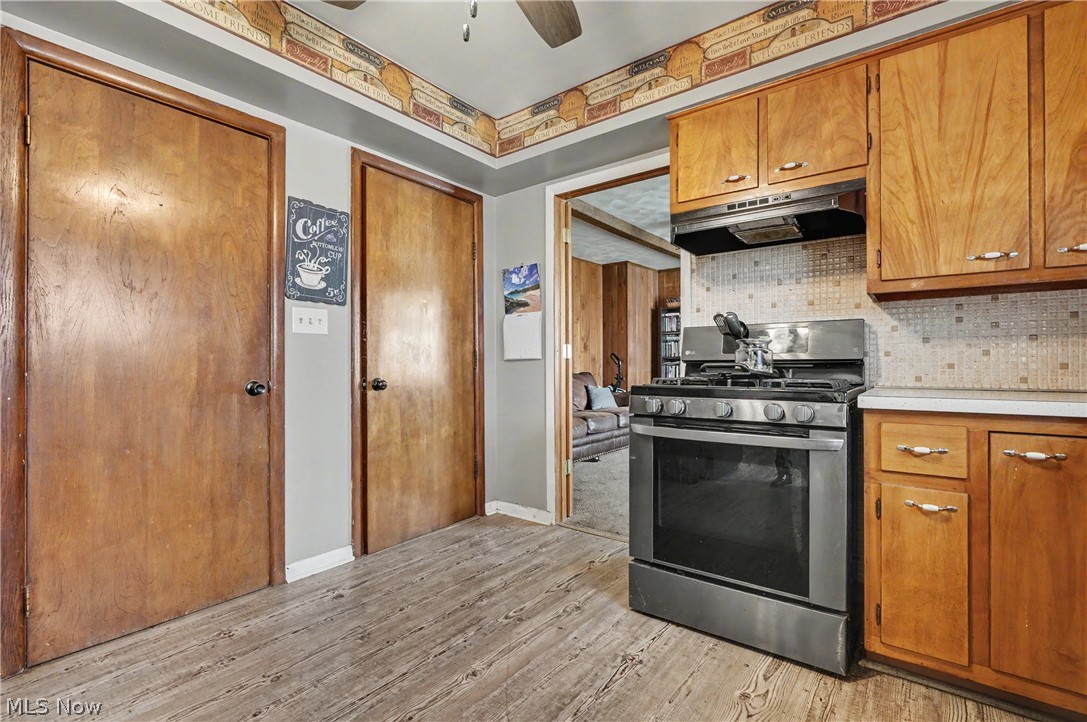 577 Geneva Avenue Struthers OH 44471