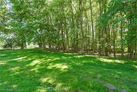 4212 Big Spruce Drive Akron OH 44333