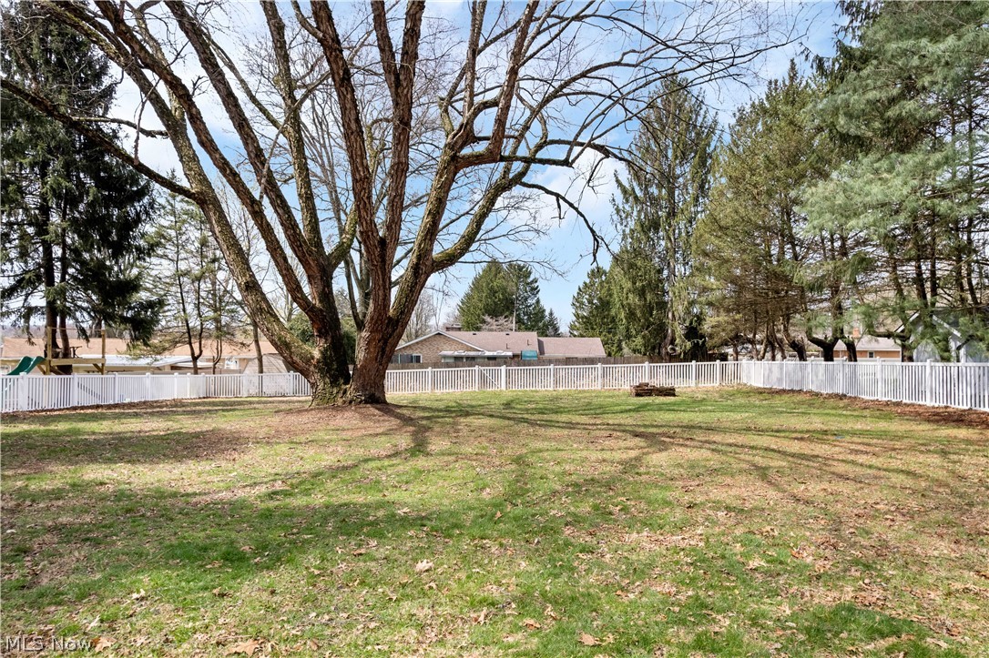 4742 Cherimoya Avenue Green OH 44319