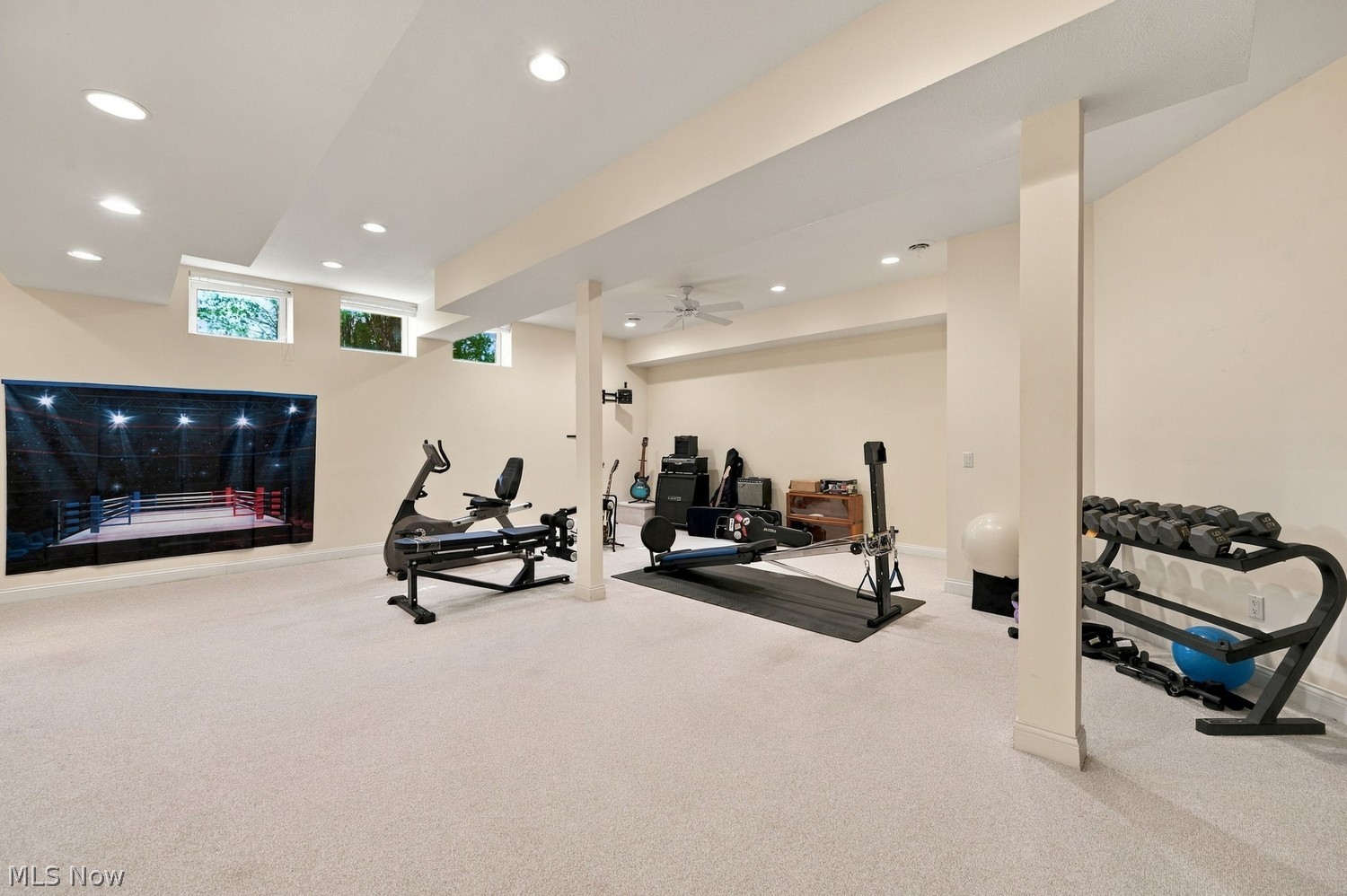 7596 N Vinemont Court Hudson OH 44236