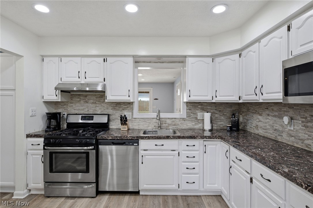 1253 Golden Gate Boulevard Mayfield Heights OH 44124