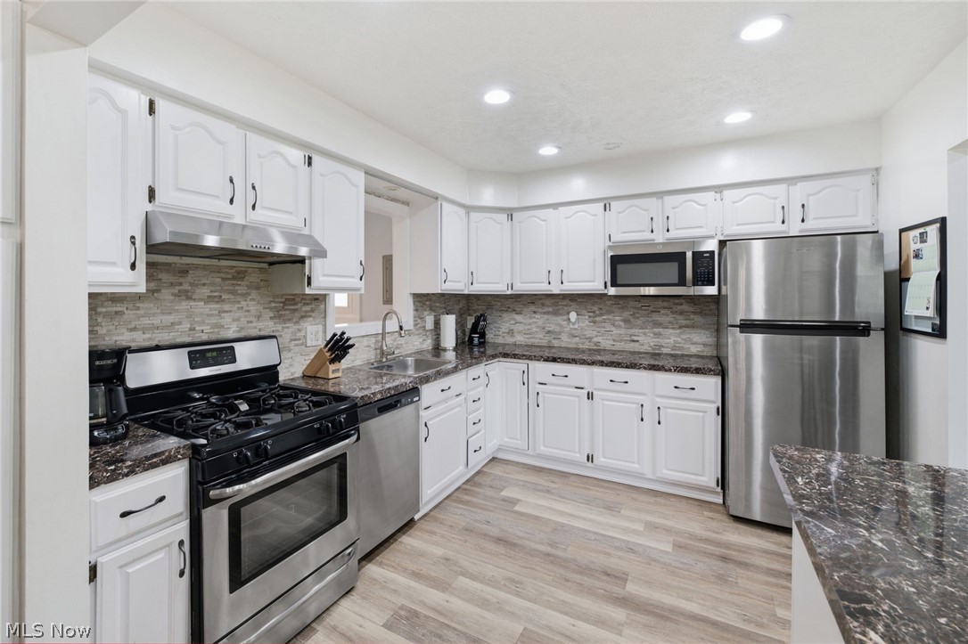1253 Golden Gate Boulevard Mayfield Heights OH 44124