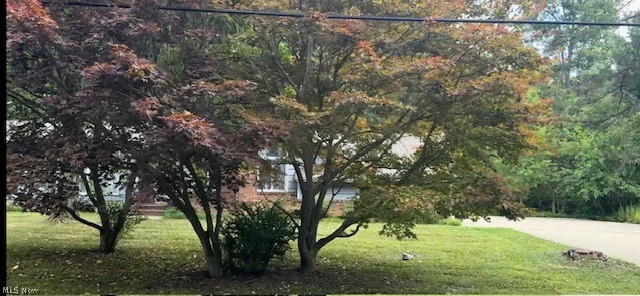 12963 Lynn Drive Chesterland OH 44026