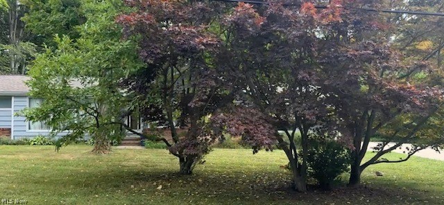 12963 Lynn Drive Chesterland OH 44026