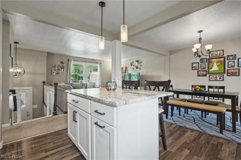 2904 Burr Oak Drive Akron OH 44333