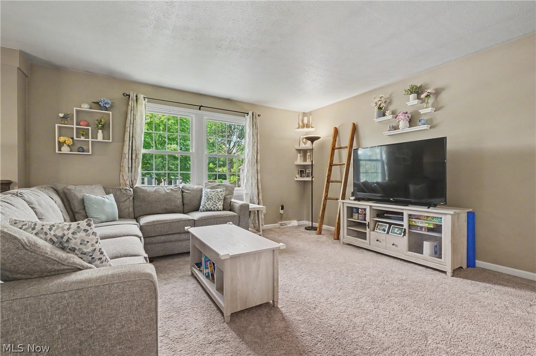 2904 Burr Oak Drive Akron OH 44333